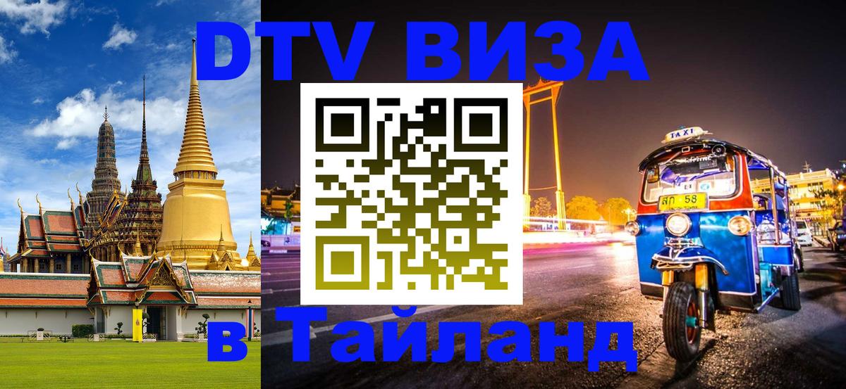 Оформление DTV визы под ключ: стоимость и тарифы, только загранпаспорт - 09.01.2026 